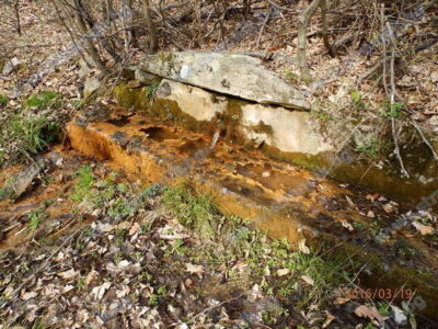 жълтата чешма