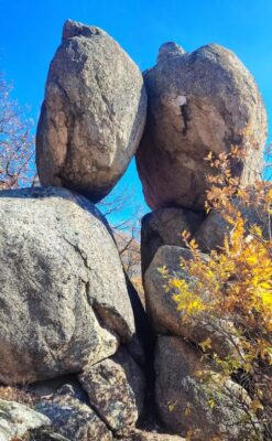 Момини двери